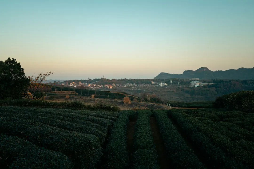 上海二手设备拍卖市场观察：企业闲置资产处置的线上化路径
